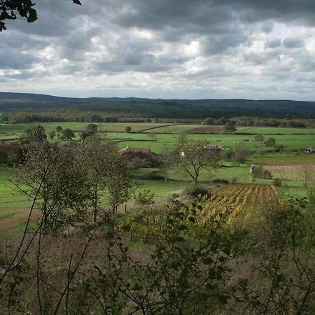Villa Le Coeur Du Lys Chissey-les-Macon Esterno foto