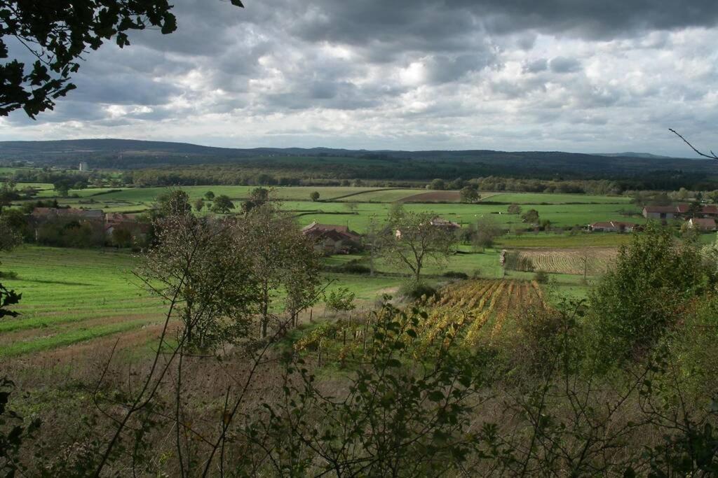 Villa Le Coeur Du Lys Chissey-les-Macon Esterno foto
