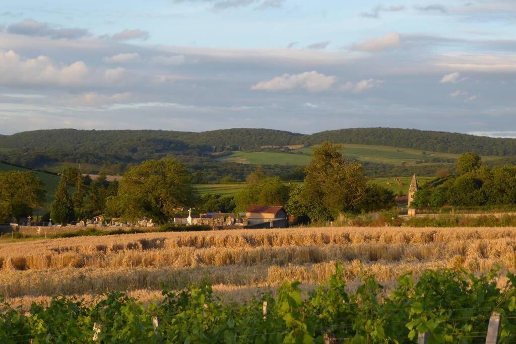 Villa Le Coeur Du Lys Chissey-les-Macon Esterno foto